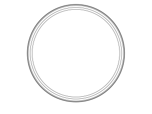 blank-frame-circle